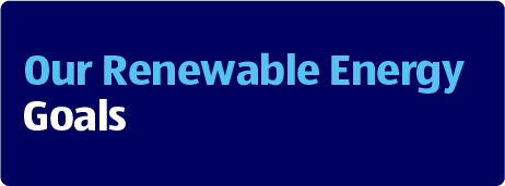 Our Renewable Energy Goals