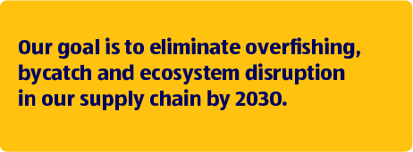 Our goal is to eliminate overfishing, bycatch and ecosystem disruption in our supply chain by 2030.