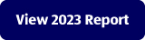 View 2023 Report